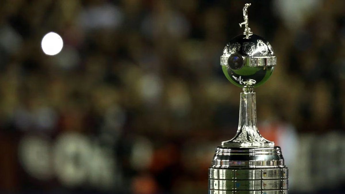 Final de la Copa Libertadores: cómo están las apuestas para Fluminense ...