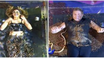 fernando burlando y barbie franco, en canta si puedes: les tiraron gusanos, aranas y dos mil cucarachas fernando burlando y barbie franco, en canta si puedes: les tiraron gusanos, aranas y dos mil cucarachas