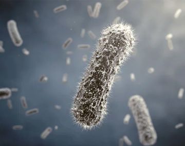 Sigue grave: cómo es la superbacteria que infectó a Silvina Luna