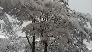 mira las primeras nevadas en ushuaia mira las primeras nevadas en ushuaia