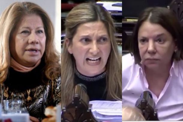 Otra vez un mensaje en las redes sociales se mete en un debate en Diputados