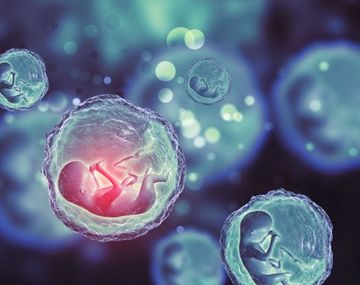 ¿Alguien quiere cambiar mi embrión? El  polémico posteo de una madre en Estados Unidos