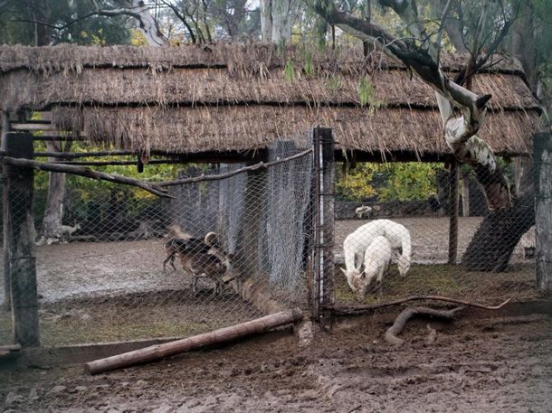 Gentileza: diario El Sol&nbsp;