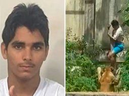 quien era el el joven que murio tras ser atacado por una leona en un zoo de brasil quien era el el joven que murio tras ser atacado por una leona en un zoo de brasil