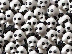 el nuevo desafio de facebook: encontrar a un perro entre pandas el nuevo desafio de facebook: encontrar a un perro entre pandas