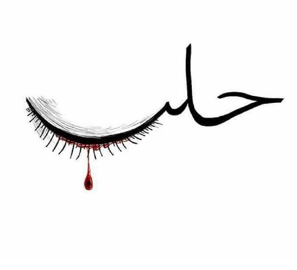 La imagen que usuarios de redes sociales suben en apoyo a Alepo