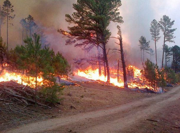 Hay cuatro heridos graves por los incendios en Córdoba