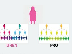 carrio tuvo que hacer un dibujo para explicar como juntar faunen y pro carrio tuvo que hacer un dibujo para explicar como juntar faunen y pro