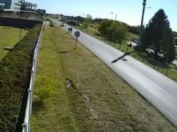 Así atropelló el auto a la pareja Así atropelló el auto a la pareja