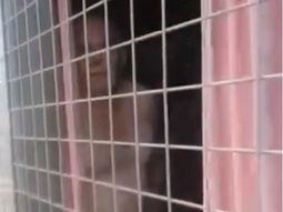 VIDEO: Escrachan por las redes a un hombre que hacía exhibicionismo