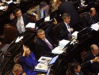 El Senado debate el proyecto de blanqueo de capitales
