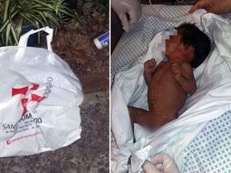 El bebé fue encontrado por un perro en la calle El bebé fue encontrado por un perro en la calle