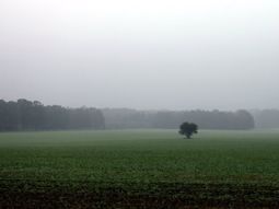 Paciencia: estiman calor y lluvia para los próximos siete días