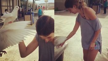 Marcela Kloosterboer alimentando palomas Marcela Kloosterboer alimentando palomas