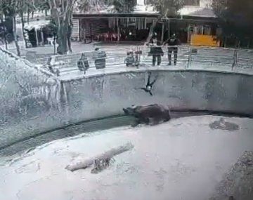 Uzbekistán: una mujer arrojó a su hija a la jaula de un oso