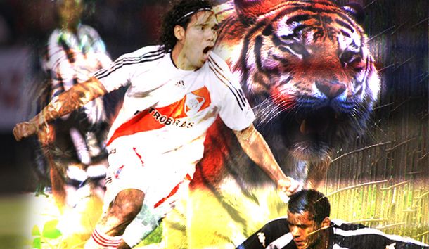 Tigre-falcao