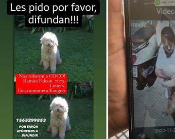 Desesperado pedido de una familia: secuestraron a Coco
