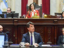 Nicolás Posse expuso por primera vez en el Senado