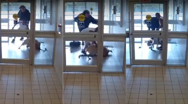 Un pitbull mató a otro perro en segundos