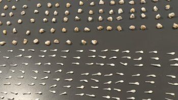 la policia de la ciudad cerro un bunker narco en la villa 31: habia cocaina, marihuana y pasta base