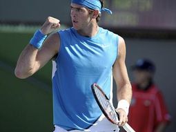 Del potro