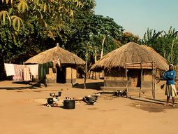 Crece el temor en las tribus africanas por el robo de penes