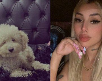 Tamara Báez volvió a pedir por la aparición con vida de su perro Coco: No sé dónde está