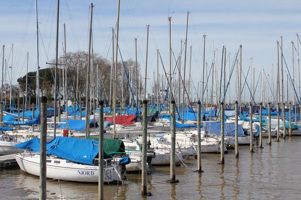 Encuentran un velero sin tripulantes en el Río de la Plata