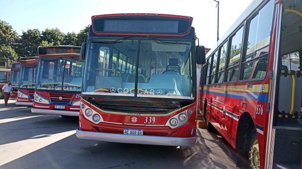Atacaron a otro colectivero de la empresa La Perlita: choferes analizan un paro