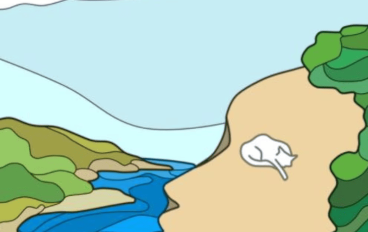 El test viral que definirá rasgos importantes de tu personalidad.