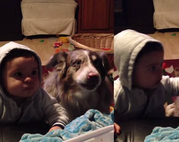 Un perro aprende a decir mamá