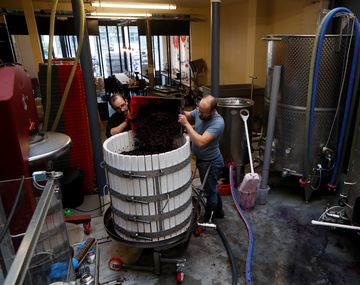 La producción de vinos en París de Vignerons Parisiens