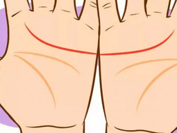 La líneas de tu mano dicen mucho más de vos de lo que creías