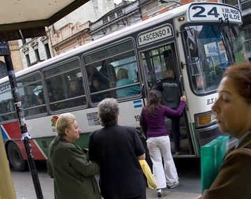 Colectivos JH 3219