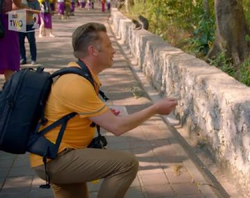 Un mono ladrón se robó un iPhone y pidió a cambio comida para devolverlo