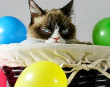 Murió Grumpy