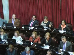 El Senado aprobó el pliego de designación de Garré en la OEA