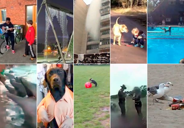 Despedí 2012 a pura risa: los mejores videos locos del año