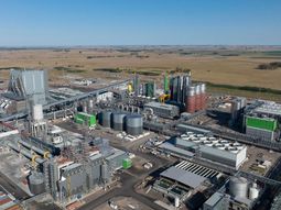 upm 2: las claves de la planta que posicionara al pais como lider en la produccion de celulosa upm 2: las claves de la planta que posicionara al pais como lider en la produccion de celulosa