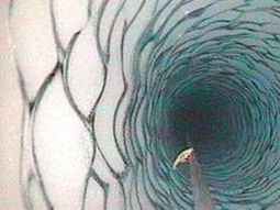 Anfípodo Lyssianasid