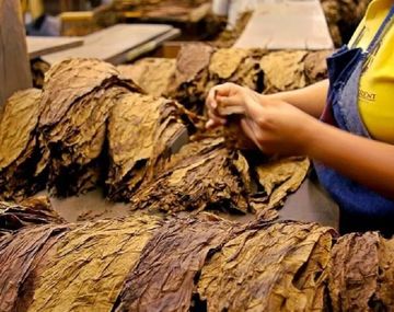 Tabacalera Sarandí negocia inversiones en Corrientes