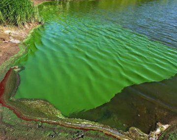 Alerta naranja en el Río de La Plata y lagunas bonaerenses por cianobacterias