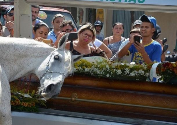 La imagen del caballo junto al féretro conmovió a todos