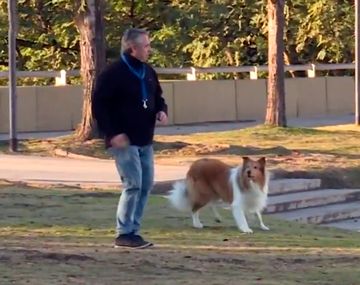 Él no sabe de elecciones: Alberto sacó a pasear a Dylan antes de votar