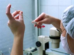 fertilizacion asistida, sin cobertura fertilizacion asistida, sin cobertura