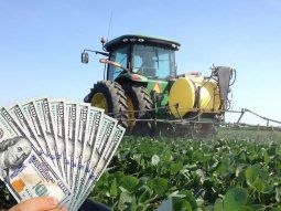 Retenciones: la Justicia confirmó el rechazo de un amparo de sociedades rurales