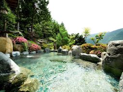 Nada como disfrutar de un onsen japonés Nada como disfrutar de un onsen japonés