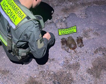 La Rioja: efectivos de Gendarmería evitaron el contrabando de cuarzo y animales en peligro de extinción