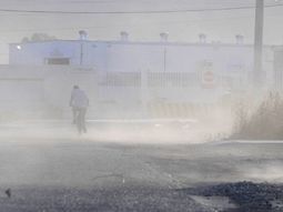 Gentileza diario Los Andes. Gentileza diario Los Andes.