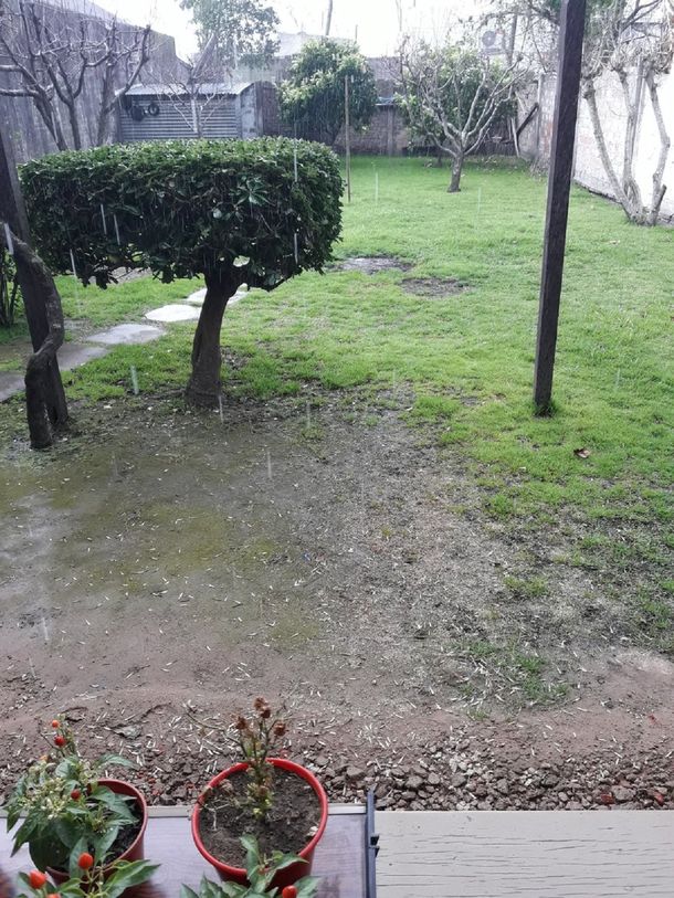 Graupel en provincia de Buenos Aires - Crédito:&nbsp;@AiroldiLeandro